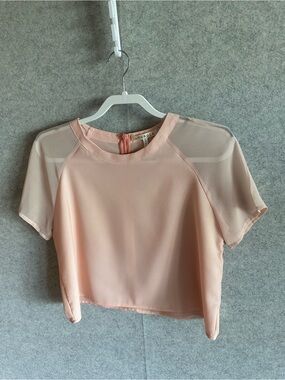 The Hanger Light Peach/Pink Sheer Short Sleeve Crop Top